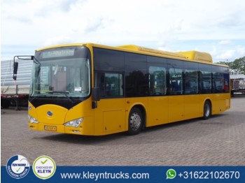 Городской автобус BYD EBUS 12 GREENCITY full electric: фото 1