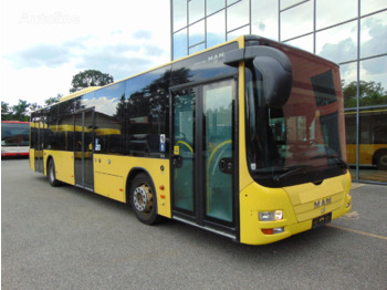 MAN LION'S CITY A37 - Городской автобус