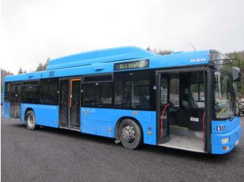 Городской автобус MAN A21 CNG EEV: фото 1