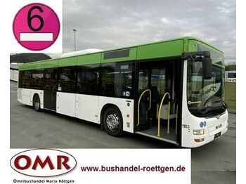 Городской автобус MAN A 21 / A20 / Citaro / Lion`s City / Euro 6: фото 1