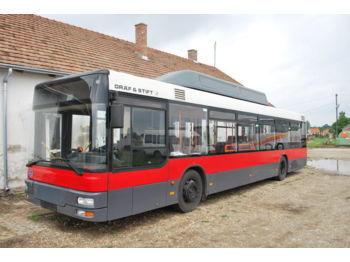 Городской автобус MAN ÖAF Graf & Stift NL 243 M-12LPG: фото 1