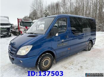 Микроавтобус, Пассажирский фургон MERCEDES-BENZ Sprinter 316 VIP Euro5: фото 1