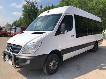 Туристический автобус MERCEDES-BENZ Sprinter 516 Euro5 20seat 312 tkm !!!: фото 1