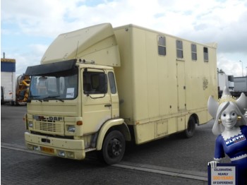 Грузовик для перевозки животных DAF 1300 TURBO ATI LIVING + 3 HORSE: фото 1