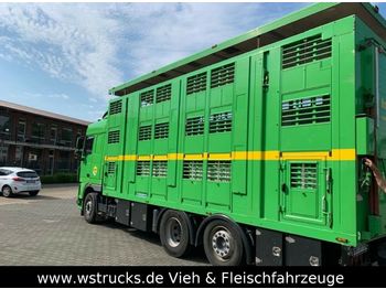 Грузовик для перевозки животных DAF XF 105/460 SC Menke 3 Stock Hubdach: фото 1