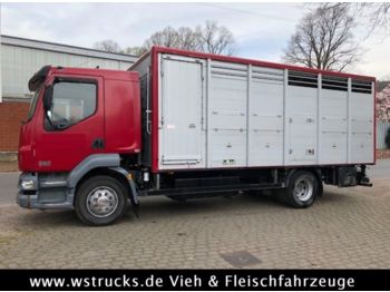 Грузовик для перевозки животных DAF LF 55 Einstock Köpf
