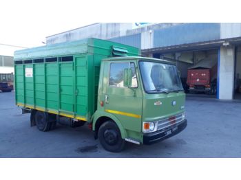 Грузовик для перевозки животных IVECO FIAT 50 OM