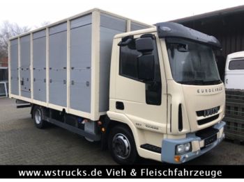Грузовик для перевозки животных Iveco 100E22 mit Einstock Baujahr 2013