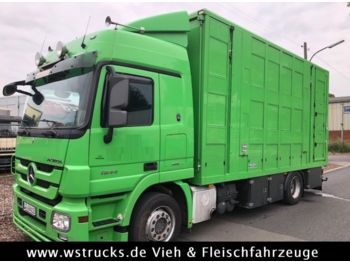 Грузовик для перевозки животных Mercedes-Benz Actros 1844 L Menke 3 Stock