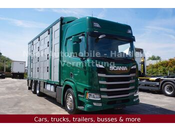 Scania R500 LL HighLine *4Stock-Menke/Retarder/LenkLift  - грузовик для перевозки животных