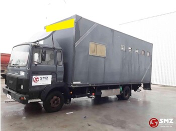 Грузовик для перевозки животных Iveco Magirus 80 16 horse truck: фото 5