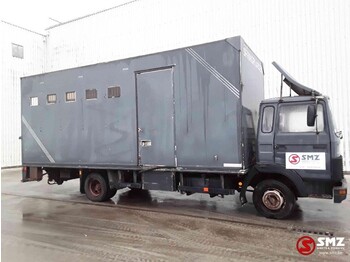 Грузовик для перевозки животных Iveco Magirus 80 16 horse truck: фото 4
