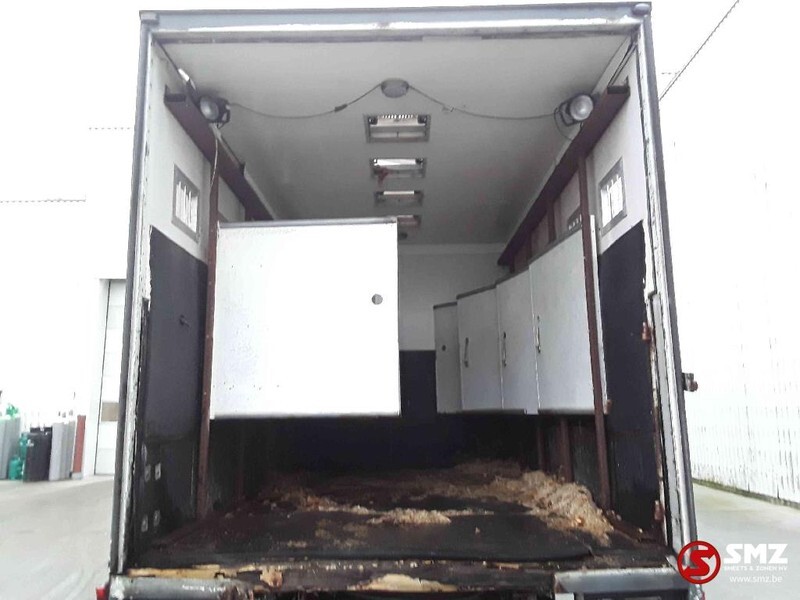 Грузовик для перевозки животных Iveco Magirus 80 16 horse truck: фото 13