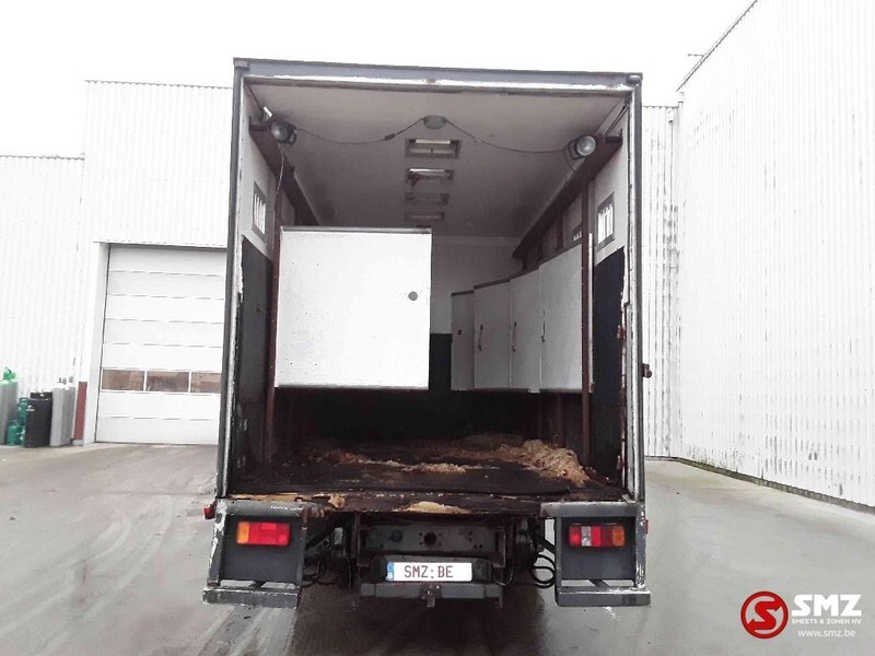 Грузовик для перевозки животных Iveco Magirus 80 16 horse truck: фото 11