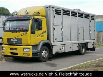 Грузовик для перевозки животных MAN 15.220 Menke Einstock: фото 1