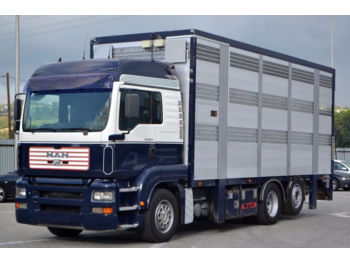 Грузовик для перевозки животных MAN TGA 26.460 Tiertransportwagen 7,20 m Top Zustand: фото 1