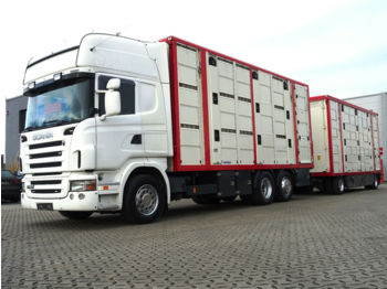 Грузовик для перевозки животных Scania R480 6X2/ 3-Stock Menke / Ledersitze: фото 1