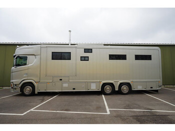 Грузовик для перевозки животных Scania S500 6X2 HORSE TRANSPORT TRUCK: фото 1