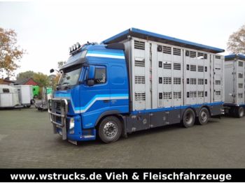 Грузовик для перевозки животных Volvo FH 460 Globe XL  Menke 4 Stock: фото 1