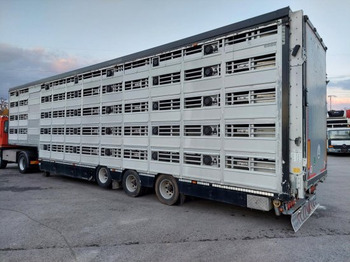 Полуприцеп для перевозки животных Pezzaioli SBA32/G , 5 Stock , Viehtransporter  , Tränkeranlage,: фото 2