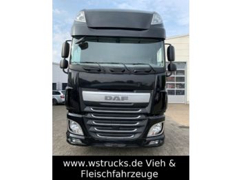Тягач DAF XF 440 FT SSC Alcoa Leder Voll
