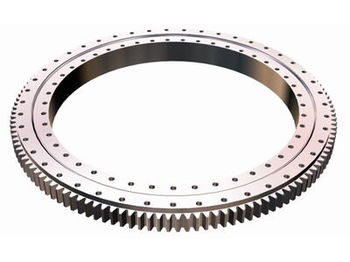 New for DEMAG AC95 mobile crane - Поворотное кольцо