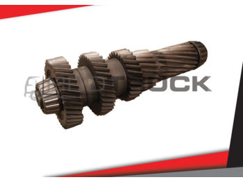 Трансмиссия ZF TD, PR RENAULT PREMIUM DXI