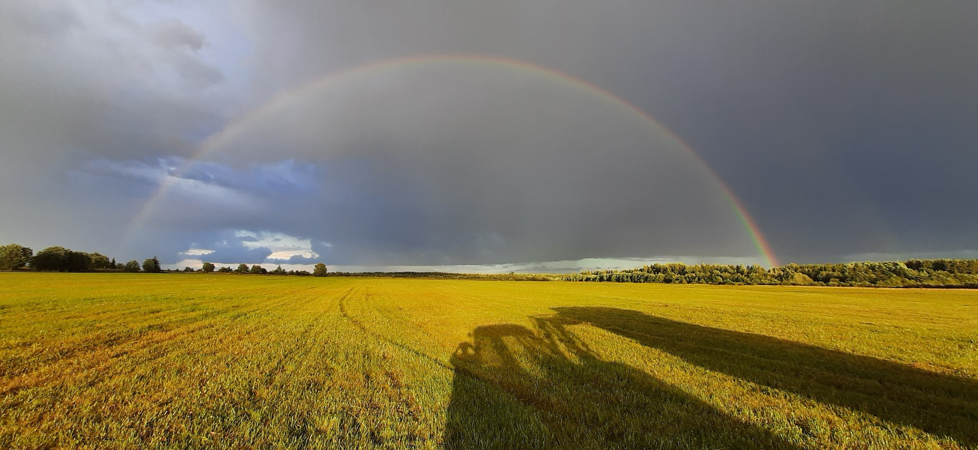 ООО «ФТС-Агри» - объявления о продаже undefined: фото 7