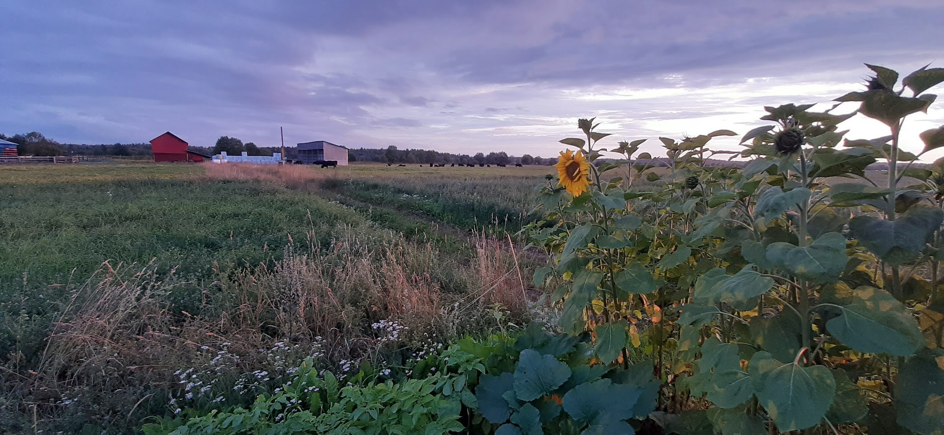 ООО «ФТС-Агри» - объявления о продаже undefined: фото 23