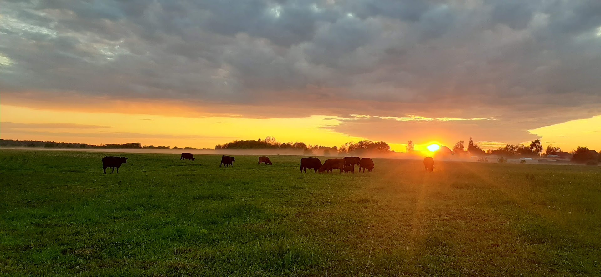 ООО «ФТС-Агри» - объявления о продаже undefined: фото 2