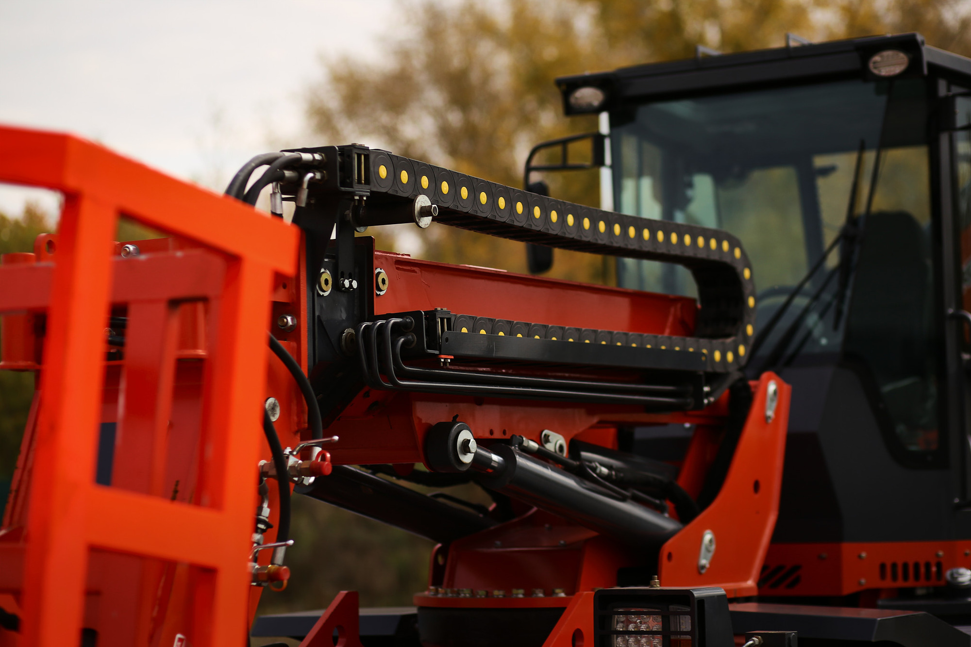 Arctic Bear undefined: фото 2