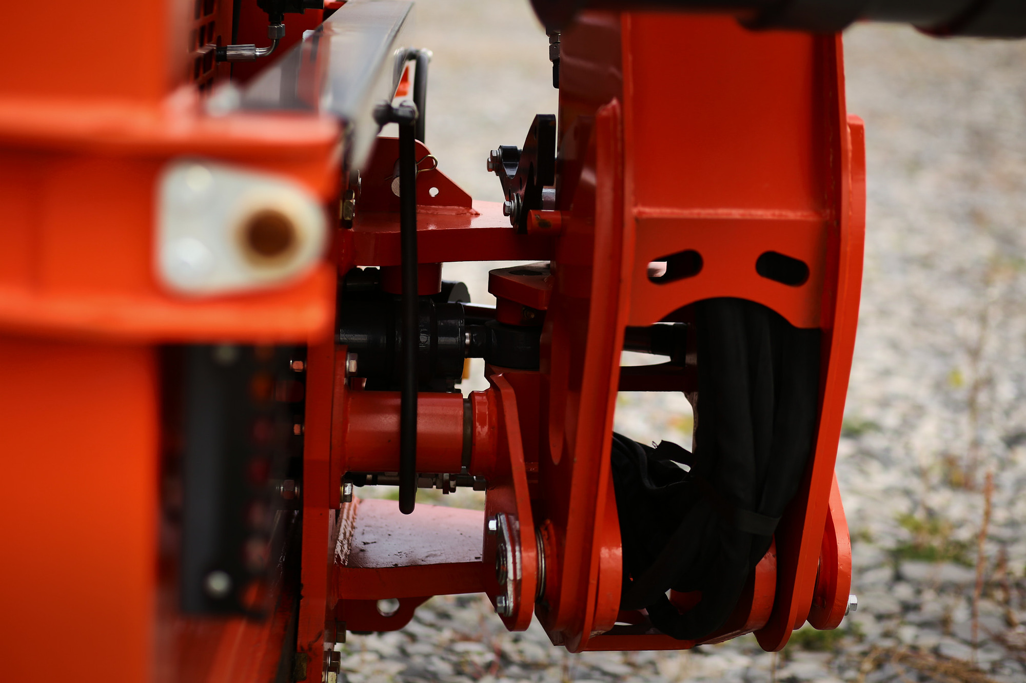 Arctic Bear undefined: фото 3