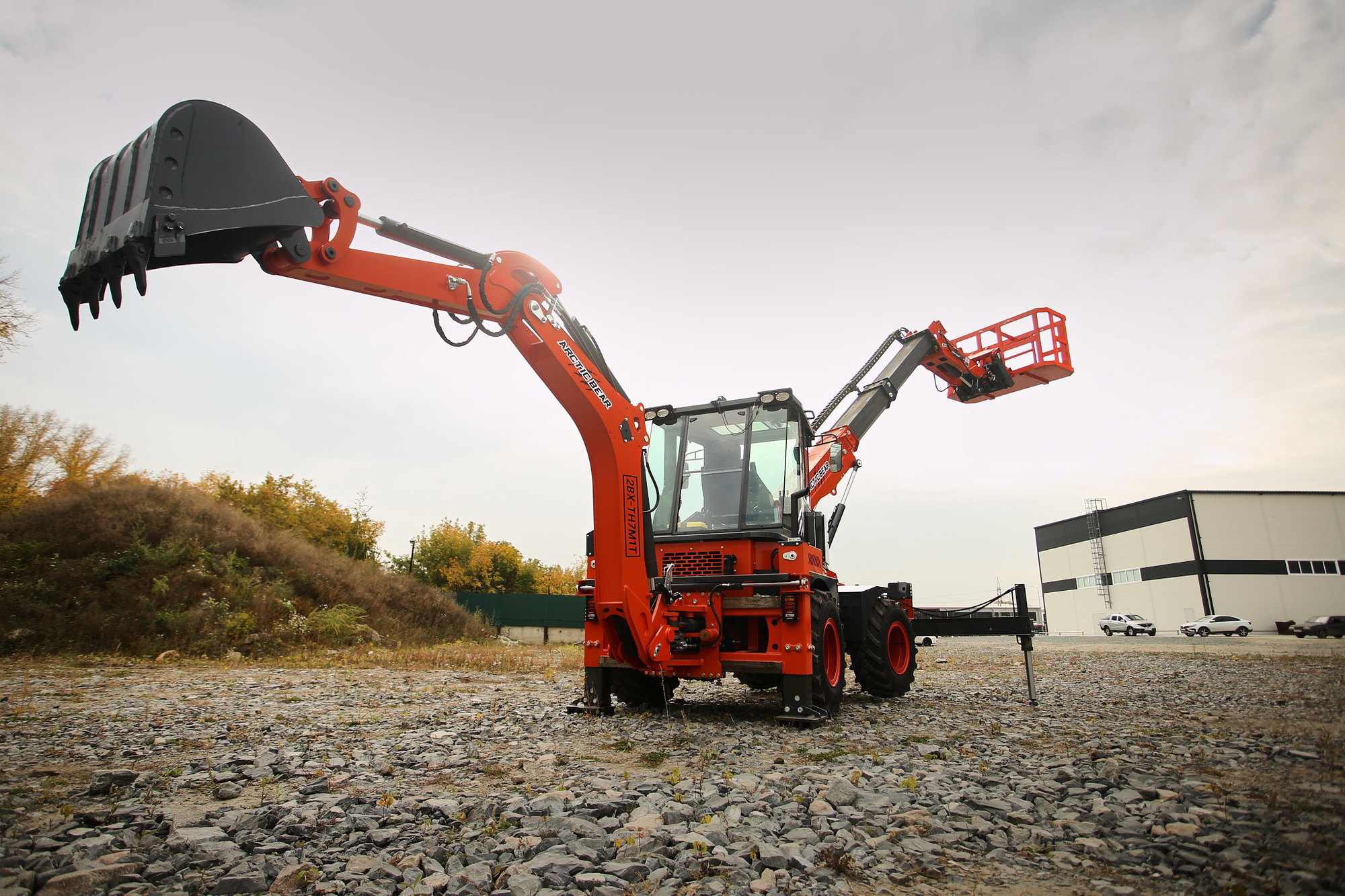 Arctic Bear undefined: фото 5