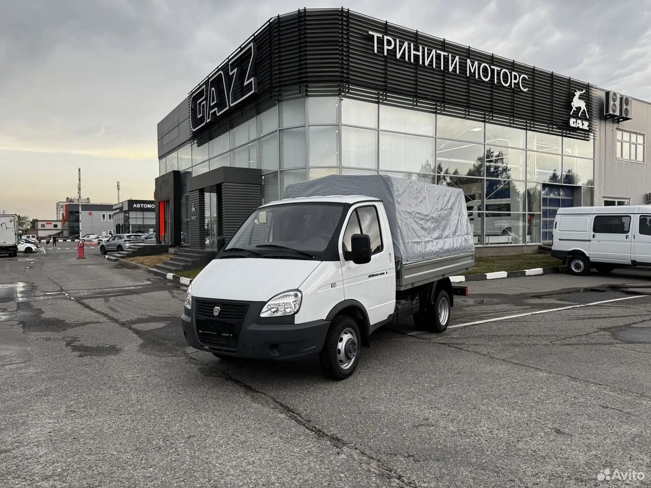 ГАЗ ТРИНИТИ МОТОРС undefined: фото 5