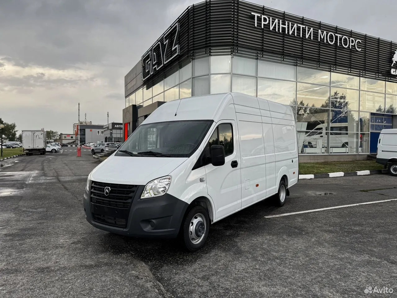 ГАЗ ТРИНИТИ МОТОРС undefined: фото 6