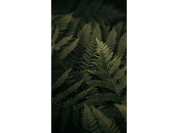 Грузовик с закрытым кузовом VOLVO