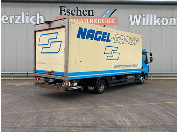 DAF LF 230 Thermo-King T800R*Diesel/Netz*2Verdampfer  в лизинг DAF LF 230 Thermo-King T800R*Diesel/Netz*2Verdampfer: фото 5