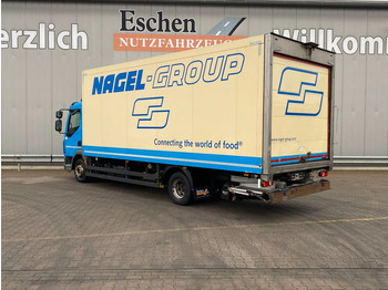 DAF LF 230 Thermo-King T800R*Diesel/Netz*2Verdampfer  в лизинг DAF LF 230 Thermo-King T800R*Diesel/Netz*2Verdampfer: фото 3