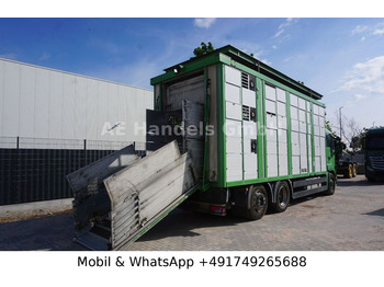 MAN TGS 26.440 LL KABA * EEV/3-Stock/Lüfter/VollAlu  в лизинг MAN TGS 26.440 LL KABA * EEV/3-Stock/Lüfter/VollAlu: фото 3
