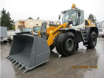 2023 Liebherr L 550 XPower в лизинг 2023 Liebherr L 550 XPower: фото 1