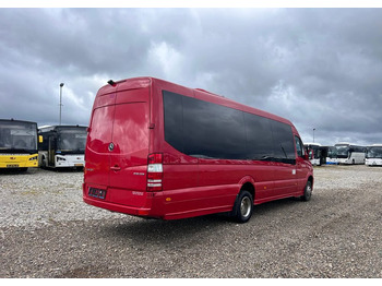 Микроавтобус, Пассажирский фургон Mercedes-Benz Sprinter 516: фото 5