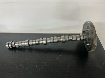 : фото в шапке страницы