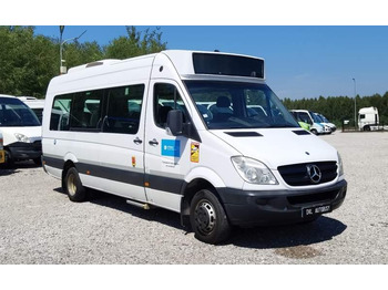 Mercedes-Benz Sprinter 516 *2x klimatyzacja*webasto* Euro 5 в лизинг Mercedes-Benz Sprinter 516 *2x klimatyzacja*webasto* Euro 5: фото 1