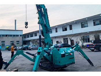 Гусеничный кран