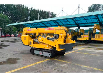 Гусеничный кран