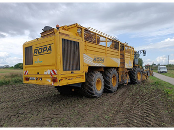 Свеклоуборочный комбайн Ropa Maschinenbau Euro-Tiger V8-4: фото 5