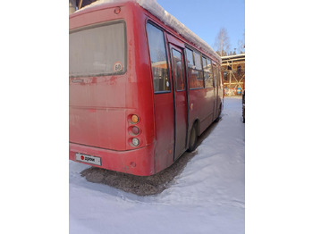 Городской автобус Hyundai Real: фото 2