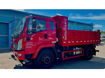 Новый Самосвал Hyundai Gold: фото 4