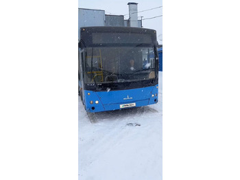 Городской автобус МАЗ 206: фото 2