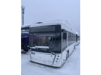 Городской автобус МАЗ